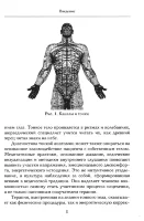 Аюрведа и тонкая анатомия человека. Путь к гармонии и здоровью через изучение невидимых структур организма 