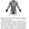Аюрведа и тонкая анатомия человека. Путь к гармонии и здоровью через изучение невидимых структур организма 